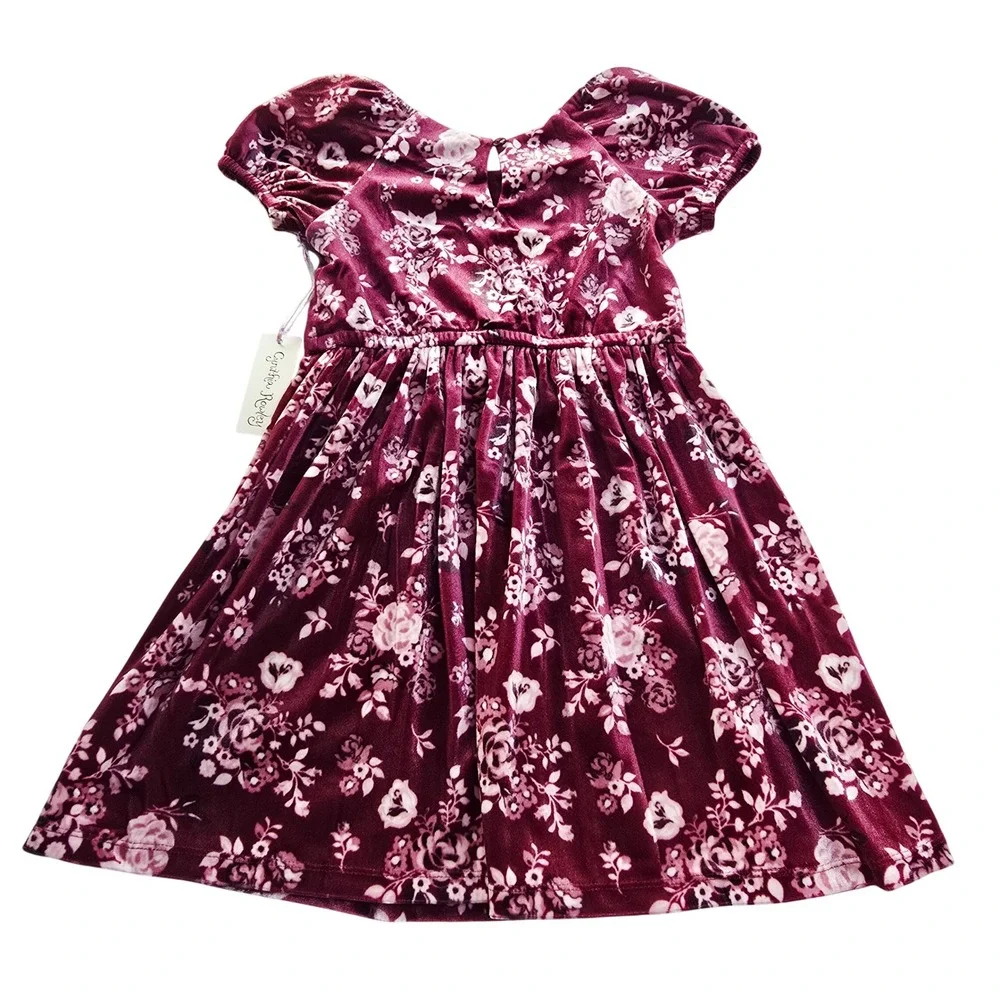 Cynthia‎ Rowley NWT Girls Burgundy Floral Velvet Dress Short Sleeve Size 6 - Picture 3 of 5